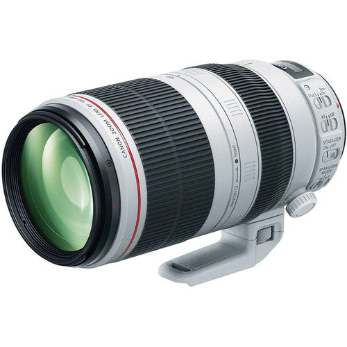 Lente Canon EF 100-400mm f/4.5-5.6L IS II USM | Telefoto Zoom